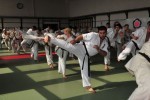 ������ ������� �������� �� ������������� �������� 22.04.2012