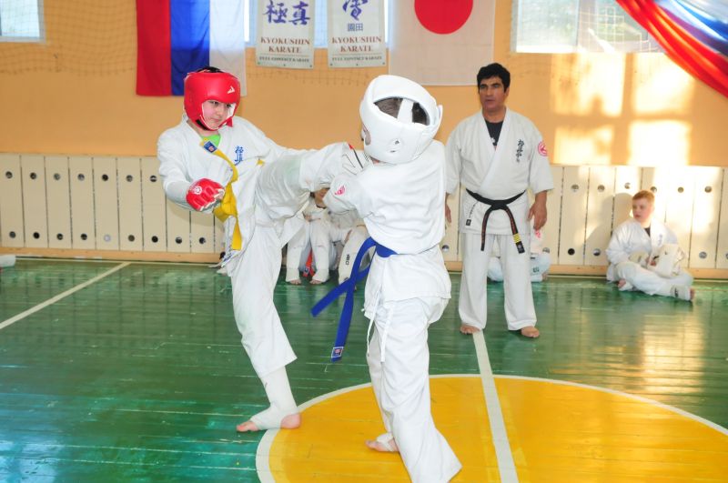 Kyokushinkai Karate вектор